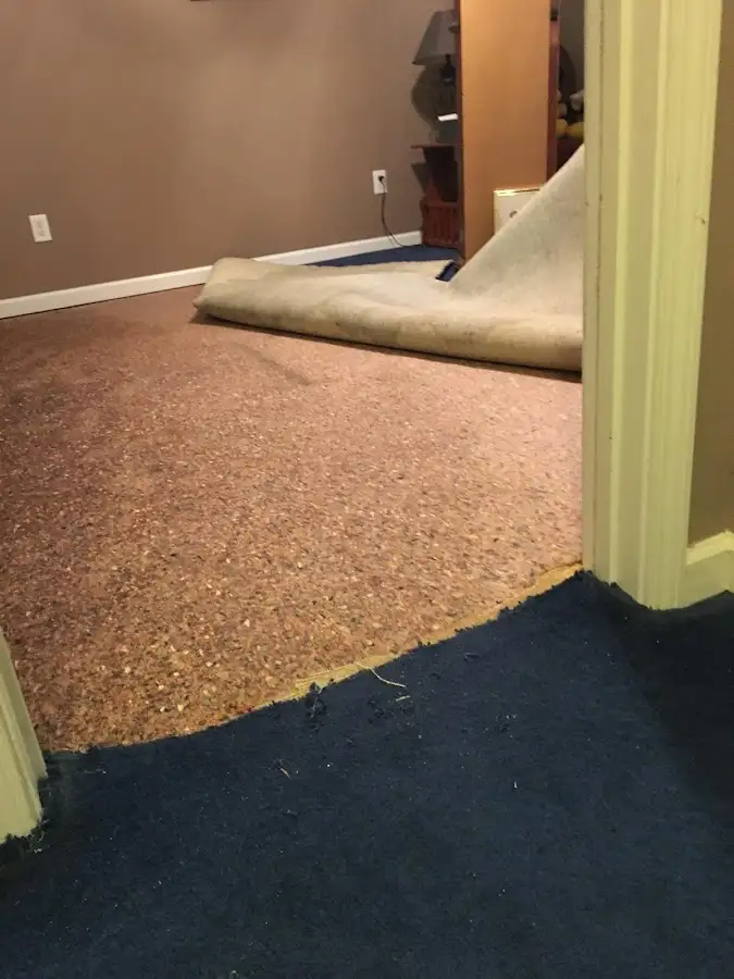 Carpet pad removal revealing water damage during Drying & Dehumidification in Alice