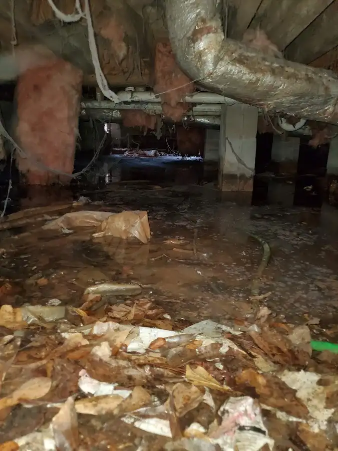 Crawl space flood assessment for Commercial Water Damage Restoration in Alice