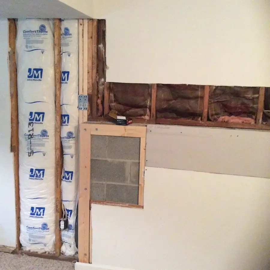 Wall insulation replacement during Odor Removal & Deodorization in Alice